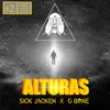 Alturas