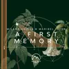 About A First Memory Song