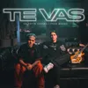 About TE VAS Song