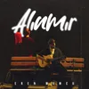 About Alınmır Song