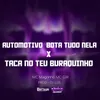 AUTOMOTIVO BOTA TUDO NELA X TACA NO TEU BURAQUINHO