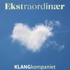 Ekstraordinær