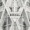About Bozal Song