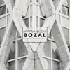 Bozal