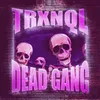 About DEAD GANG Song