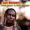 About I Am Sorry Song