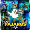 Los Pájaros