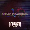 About Amor Prohibido Song