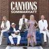 About Sommarhatt Song