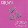 About Lockdown (feat. Matisyahu) Song