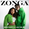 About Zonga Song