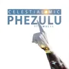 About Phezulu Song