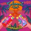 About Cumbiecita Song