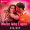 About Mainu Ishq Lagaa Song