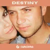 About Destiny Song