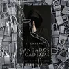 Candados y cadenas