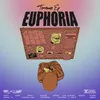 About Euphoria Song