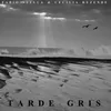 About Tarde Gris Song