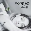 About זמן פריחה Song