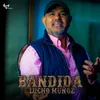 About BANDIDA Song