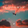 About Falling For You (为你沉沦) Song