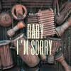 About Baby I' m Sorry Song