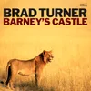 About Barney's Castle Song