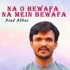 Na O Bewafa Na Mein Bewafa