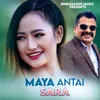 About Maya Antai Sara Song
