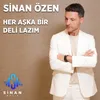 About Her Aşka Bir Deli Lazım Song