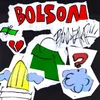 About Bolsón Song