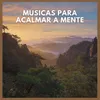 Música Calma