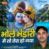 About Bhole Bhandari Mein To Tera Ho Gaya Song