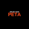 About Peta Song
