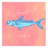 About Seasalt Song