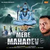 About Mere Mahadev Song