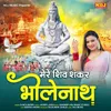 About Mere Shiv Sankar Bhole Nath Song