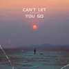 Can't Let You Go