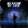 About MEANING OF LIFE Song