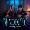 About BENDECIDO | E11 Song