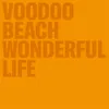About Wonderful Life Song