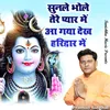 About Sunle Bhole Tere Pyaar Me Agya Dekh Haridwar Me Song