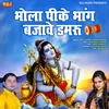 About Pike Bhang Bajave Damru Song