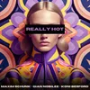 About Really Hot Song