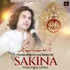 About Naam Rakha Hai Baba Ne Sakina Sa Song