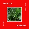 About Areca Bambu Song