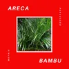 Areca Bambu