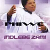 About Indlebe Zami Song