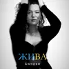 About Жива Song