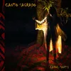 About Canto Sagrado Song